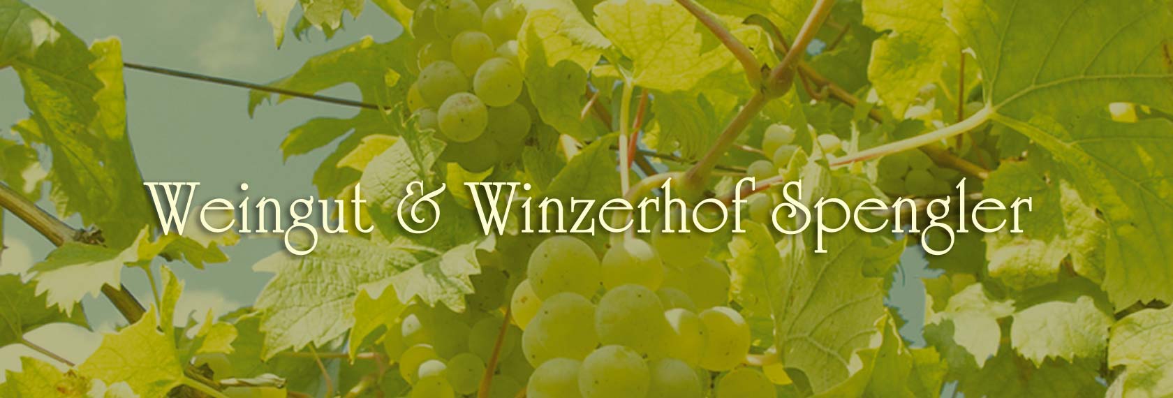 Weingut & Winzerhof Spengler