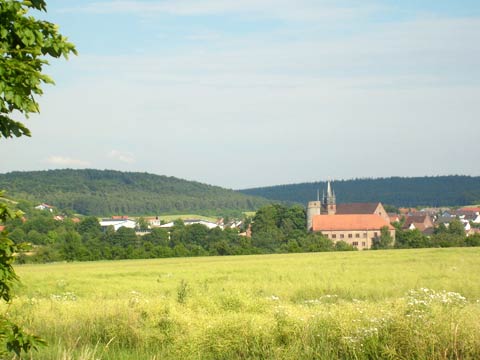 Blick auf Külsheimer Schloss